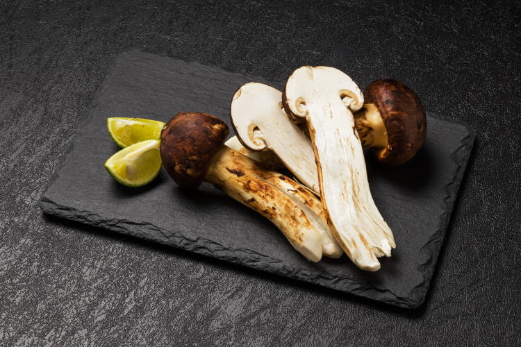 Matsutake-Pilze