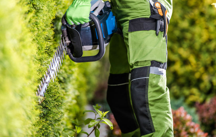 Ausrüstung Hecke schneiden