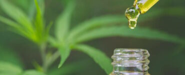 CBD Öl